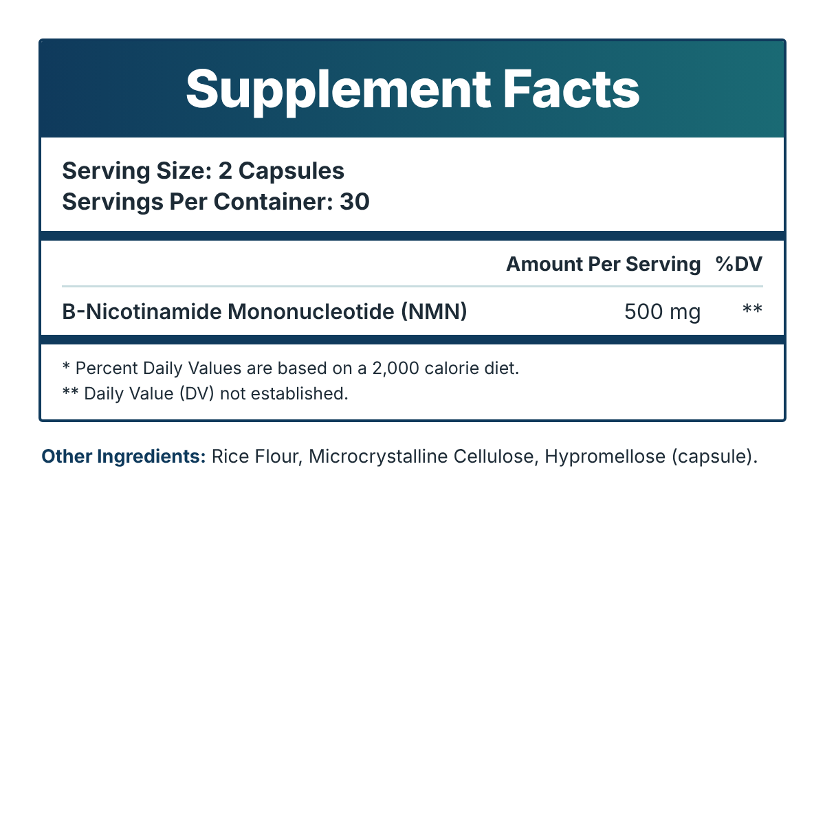 NMN - Cellular Energy Catalyst (90 Day Bundle)