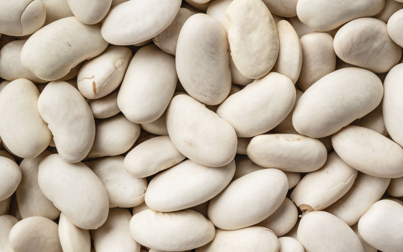White Kidney Bean Extract